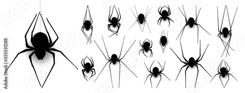 Fotografía Collection of Spider, cobweb, isolated on black, transparent background