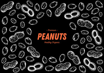 Wall Mural - Peanuts hand drawn sketch. Nuts vector illustration. Organic healthy food. Great for packaging design. Engraved style. Black and white color.