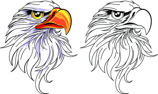 The head of an eagle. Emblem American symbol of freedom. Retro color falcon logo.