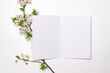 © Yurii - Minimalistic bi-fold card mockup with cherry branch, flower, blossom on white background