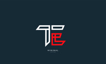 Alphabet Letter Icon Logo TE