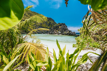 El Nido, Palawan, Philippines. Unknown star beach. Beautiful shallow ocean lagoon and exotic plants