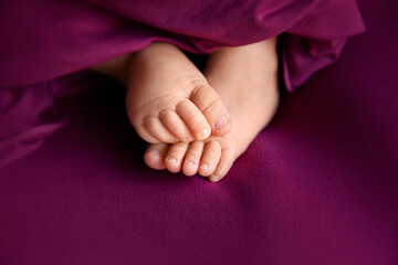 Wall Mural - Baby girl feet on raspberry background, closeup of barefeet, maternity and babyhood concept