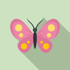 Sticker - Collection butterfly icon. Flat illustration of collection butterfly vector icon for web design