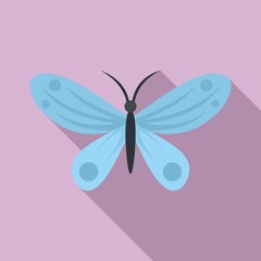 Wall Mural - Island butterfly icon. Flat illustration of island butterfly vector icon for web design