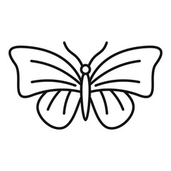 Sticker - Moth butterfly icon. Outline moth butterfly vector icon for web design isolated on white background