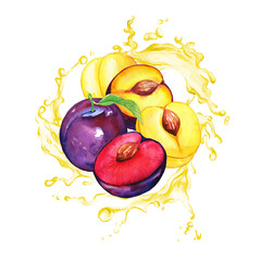 Wall Mural - Garden purple and yellow plums in the splash of yellow juice