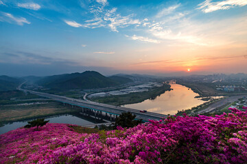 a scene of sunrise in full bloom