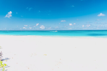 Wall Mural - island of Anguilla in the Caribbean sea