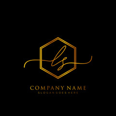 Initial letter LS Signature handwriting Logo Template Vector