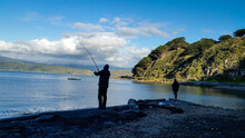 Fisherman In Wellington