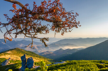 Wall Mural - Amazing mountain landscape.