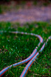 hose on the lawn