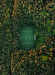 Aerial view of a soccer field in the forest