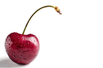 red cherry berry macro with drops of water at white background, isolated