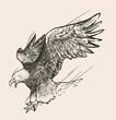 Hand drawn illustration of eagle catching, vector illustration