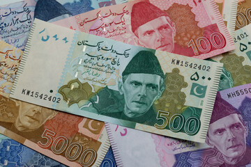 Pakistani Rupees, Pakistani currency notes