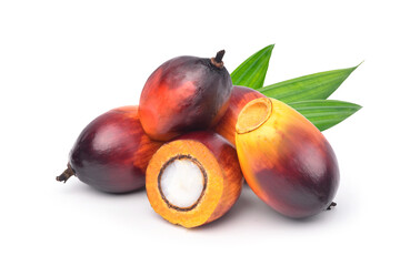 Group of  Oil Palm fruits and cut in half with green leaf isolated on white background.