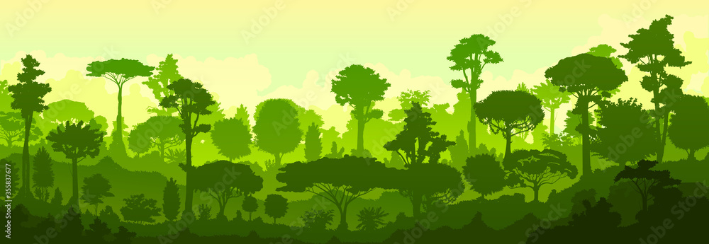 Forest jungle vector. Silhouette. Landscape, view of the tropical thicket. Trees, shrubs. Predawn morning twilight. Background image. - obrazy, fototapety, plakaty 