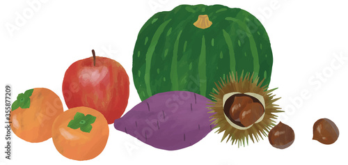 野菜 果物 りんご 柿 さつまいも 栗 かぼちゃ イラスト 手描き 水彩 Stock Vector Adobe Stock