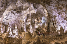 Carlsbad Cavern National Park, New Mexico, USA
