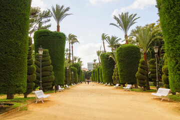 Parque Genovés, a public park in Cadiz, Spain, is famous for its trimmed trees and sculptures. Cadiz, Andalusia, Spain