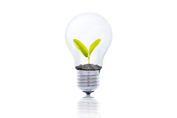 Wall Mural - a tree glowing in a light bulb on white isolated background