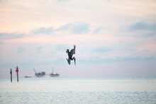 Pelican Flying And Diving Against The Sunset