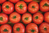 Fototapeta Kuchnia - Fresh Organic Farm Tomatoes at food market