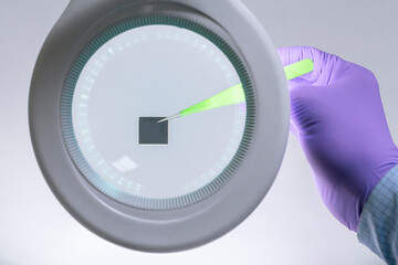 Poster - Hand in glove holding microchip with pair of tweezers under magnifying glass .