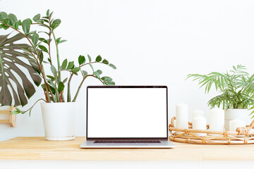 Modern trendy home office workplace with green plants and boho interior decor background. Still life composition