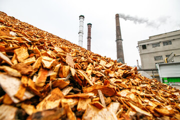 biomass energy factory. the station uses waste wood biomass as an energy source, and provides electr