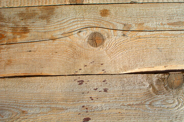 Wood Texture With Natural Pattern