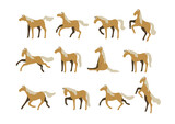 Fototapeta Konie - Set of vector horses isolated on white background. A collection of purebred thoroughbred horses in a flat modern style.