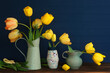Spring Yellow Tulips Still Life with green vases on a wood shelf or table with dark navy blue boards background for copy space.  It's a horizontal with a side view.