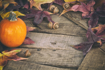 Fall Still Life with Mini Pumpkin and Maple Leaves on Rustic Wood boards as a Thankgiving or Halloween design element with copy space.