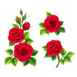 Vector set of red roses isolated on a white background.