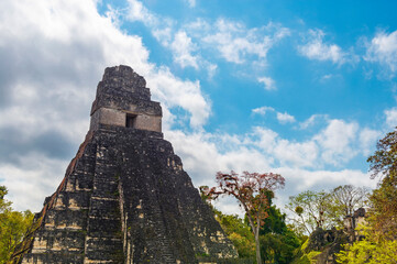 Wall Mural - Temple 1 or Temple of the Great Jaguar mayan pyramid in Tikal, Guatemala.