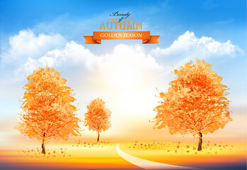 Aufkleber - Season autumn background with gold trees and sunset sky with transparent clouds. Vector illustration