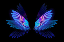 Glowing Hummingbird Wings
