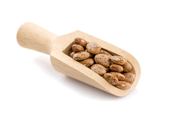 Wall Mural - Pinto beans in a wooden spoon and scattered over white background