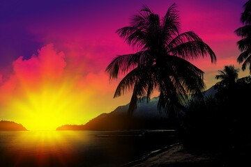 Wall Mural - Sunset on tropical beach with palms