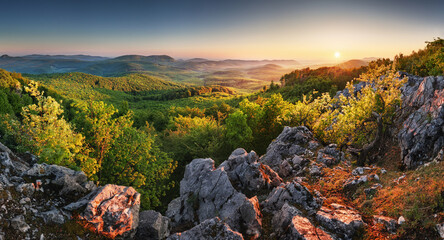 Wall Mural - spring forest moutain landscape panorama at sunrise, slovakia