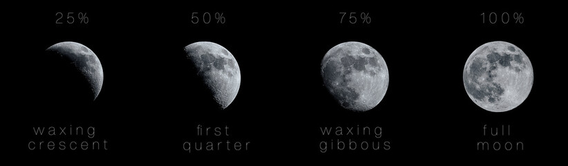 detailed moon phases from new moon to full moon