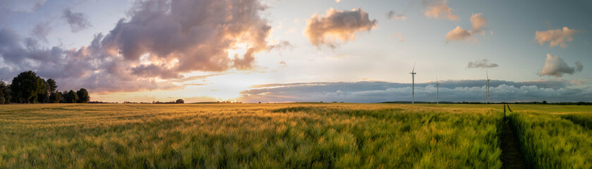 Panorama view of beautiful countryside scene cultivated fields with wind turbines. Rural landscape with green wheat field in countryside