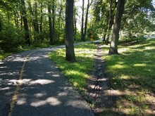 Asphalt Path Or Trail With Shortcut Path Through The Dirt And Grass