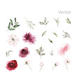 Set of vector watercolor flowers for cards.
