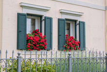 House Facade With Green Wooden Shutters On Windows, Decorated With Beautiful Red Geranium Flowers