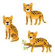 Cute leopard, vector character set.