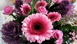 Close up of Gerbera farben flowers. It is very popular and widely used as a decorative garden plant or as cut flowers. 